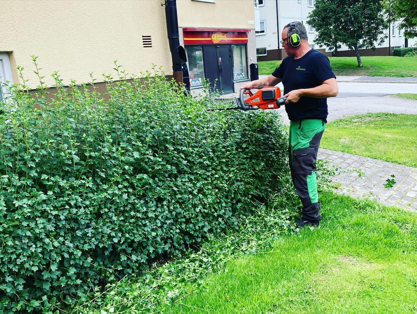 Trimmar en häck med häcktrimmer