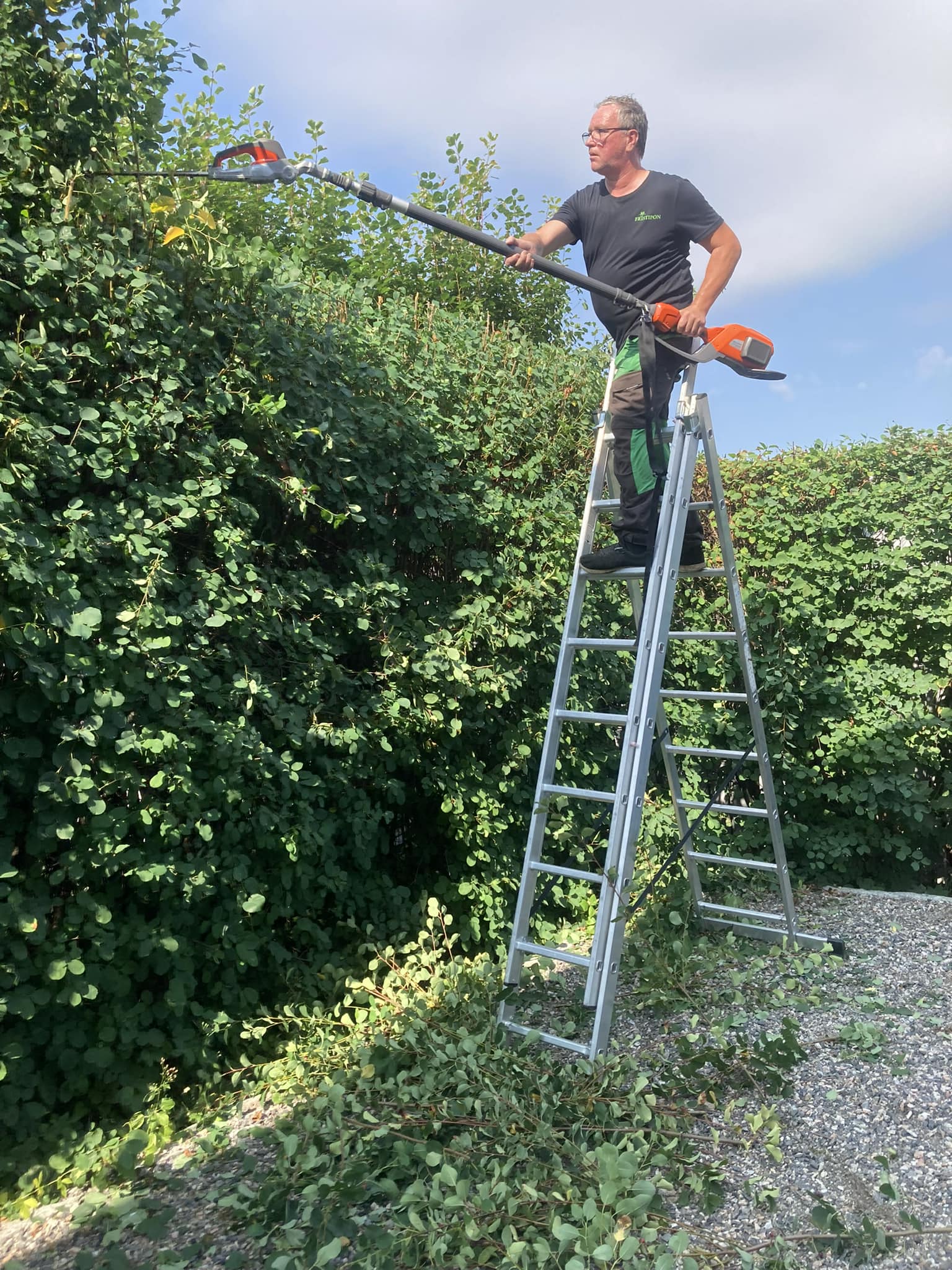 Thomas på en stege och klipper en hög häck